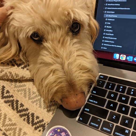 cybersecash